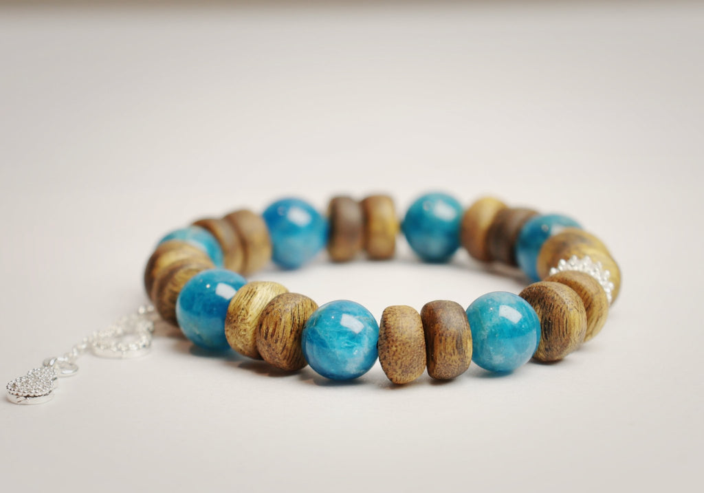 10mm Agarwood Kyanite Bracelet with Silver Gourds - Truth & Blessings - wellspringcollectives