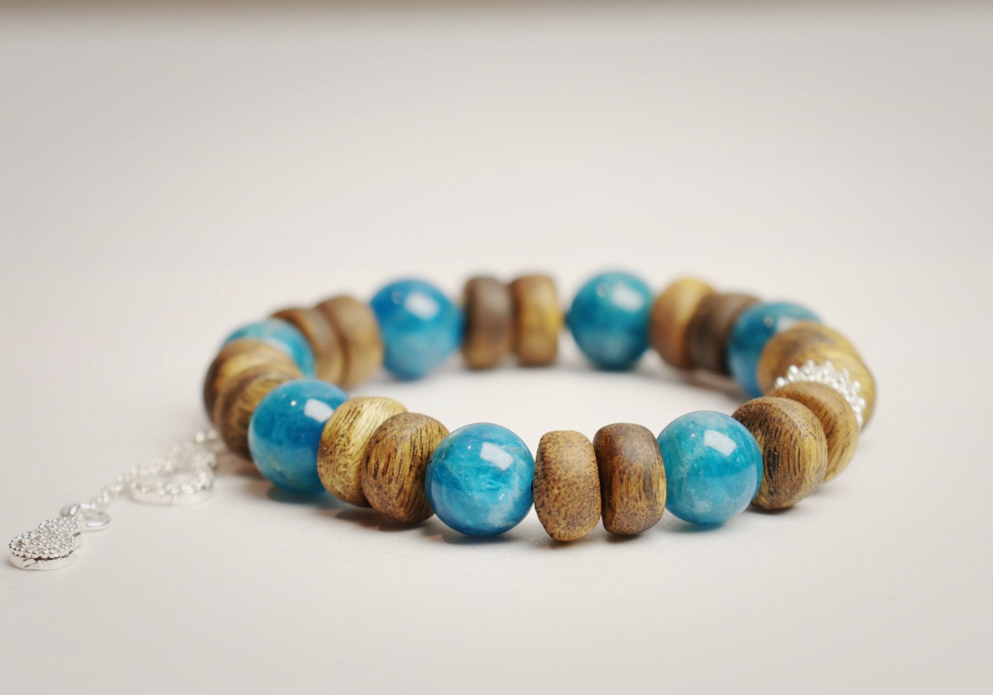 10mm Agarwood Kyanite Bracelet with Silver Gourds - Truth & Blessings - wellspringcollectives