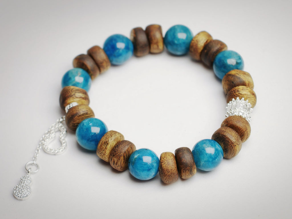 10mm Agarwood Kyanite Bracelet with Silver Gourds - Truth & Blessings - wellspringcollectives