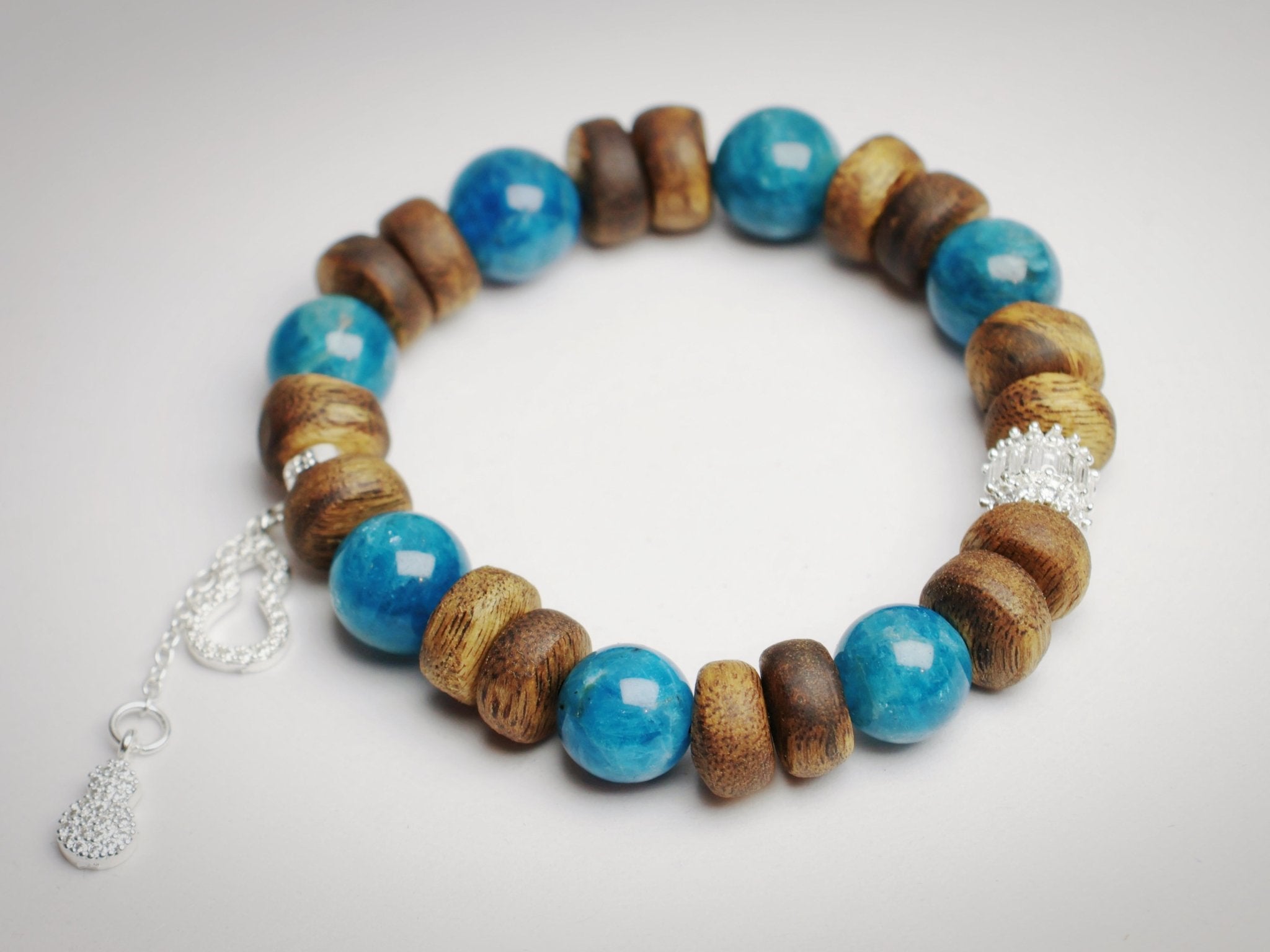 10mm Agarwood Kyanite Bracelet with Silver Gourds - Truth & Blessings - wellspringcollectives